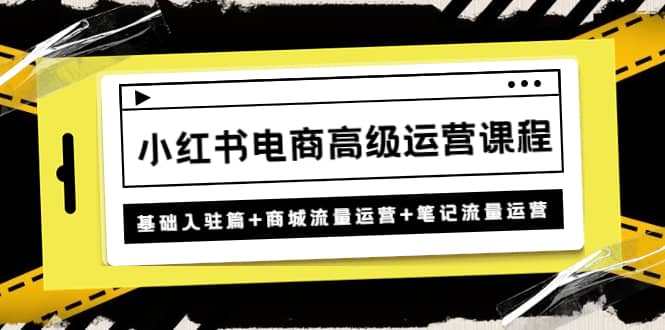 小红书电商高级运营课程:基础入驻篇+商城流量运营+笔记流量运营网创吧-网创项目资源站-副业项目-创业项目-搞钱项目网创吧