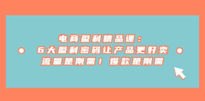 电商 盈利精品课:6大盈利 密码让产品更好卖,流量是刚需!爆款是刚需网创吧-网创项目资源站-副业项目-创业项目-搞钱项目网创吧