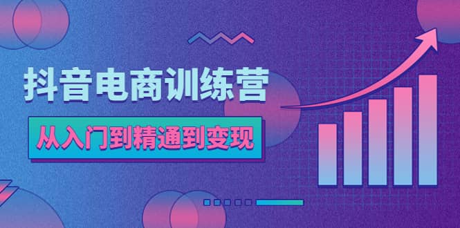 抖音电商训练营:从入门到精通,从账号定位到流量变现,抖店运营实操网创吧-网创项目资源站-副业项目-创业项目-搞钱项目网创吧