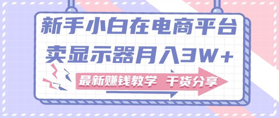 新手小白如何做到在电商平台卖显示器月入3W+，最新赚钱教学干货分享网创吧-网创项目资源站-副业项目-创业项目-搞钱项目网创吧