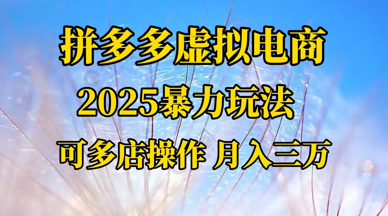拼多多虚拟电商，不囤货不垫资的虚拟电商网创吧-网创项目资源站-副业项目-创业项目-搞钱项目网创吧