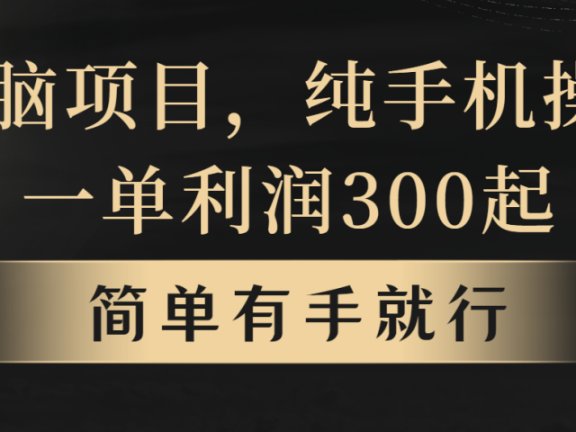无脑项目,一单几百块,轻松月入5w+,看完就能直接操作